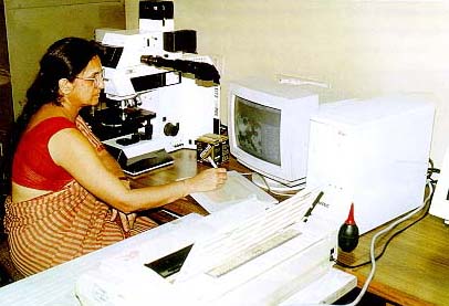All India Institute of Medical Sciences