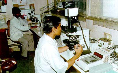 All India Institute of Medical Sciences